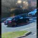 Image for Connecticut Police On Hunt For Irredeemable Monster Who Threw Kittens From Car