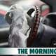 Image for Another Deadly Airbag Recall Could Hit 49 Million Cars